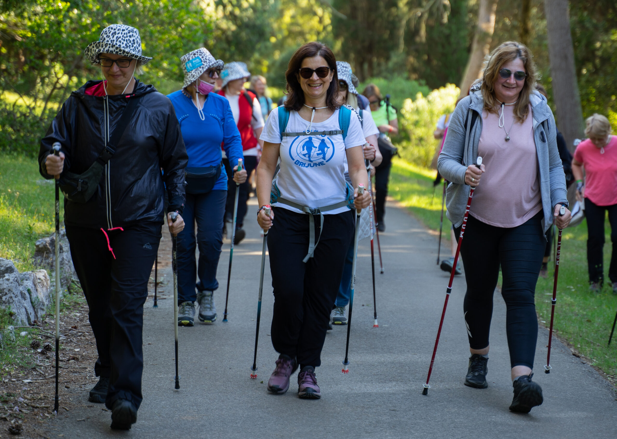 Nordijsko hodanje tehnika