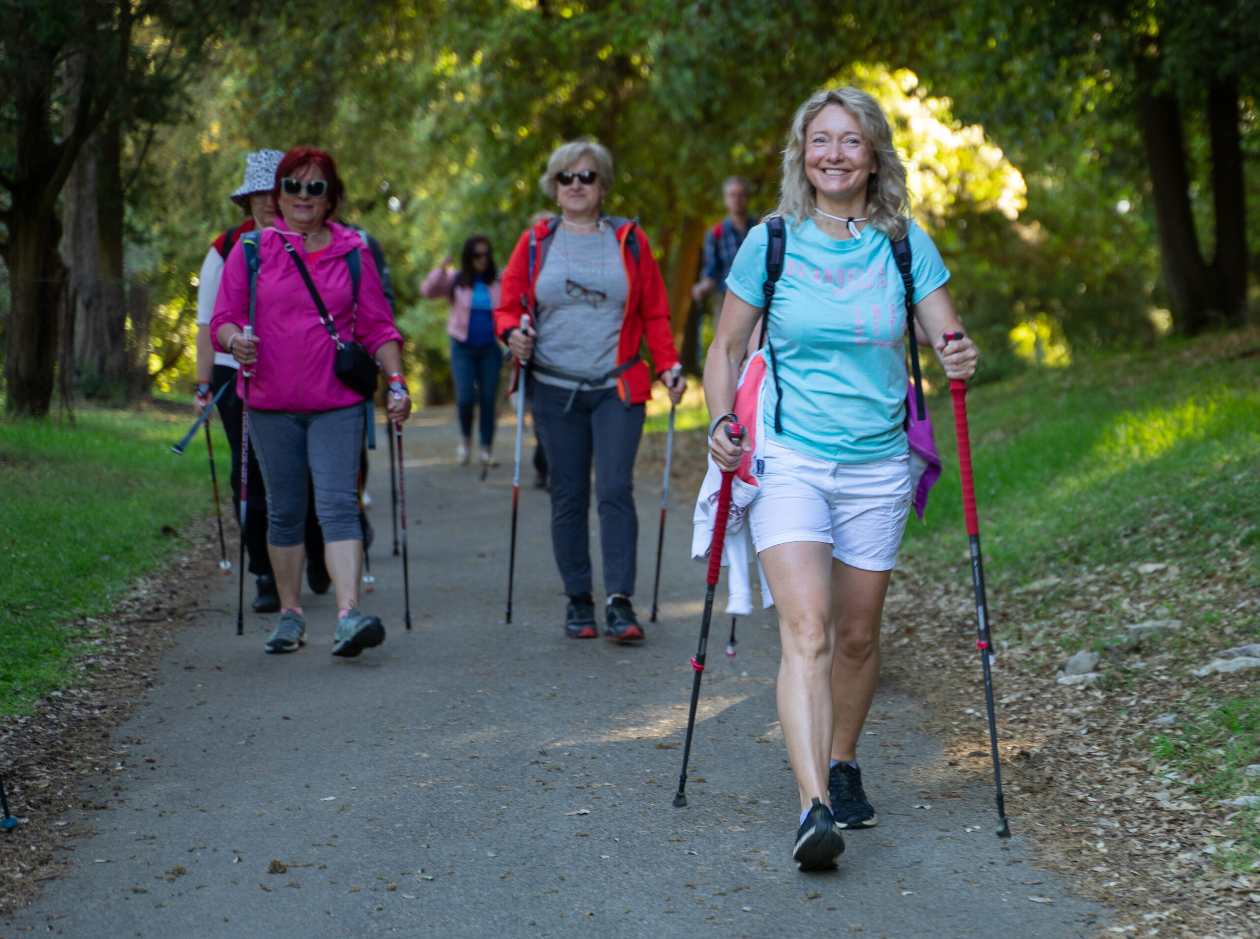 nordijsko hodanje- tehnika i zdravstveni benefiti štapovi